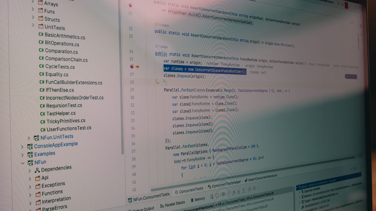 Individuelle Software